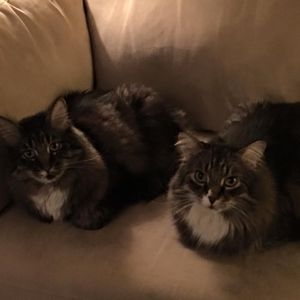 Meet your Posher, Rebecca